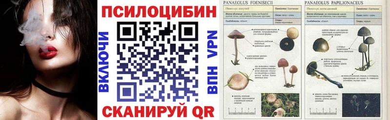 Псилоцибиновые грибы ЛСД  МЕГА маркетплейс  Похвистнево 